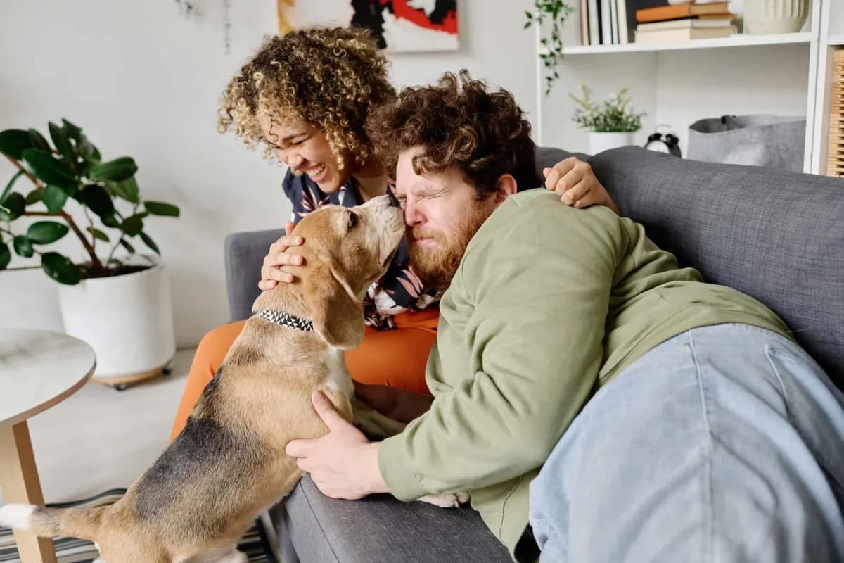 Propriétaires et leur chien chez le vétérinaire