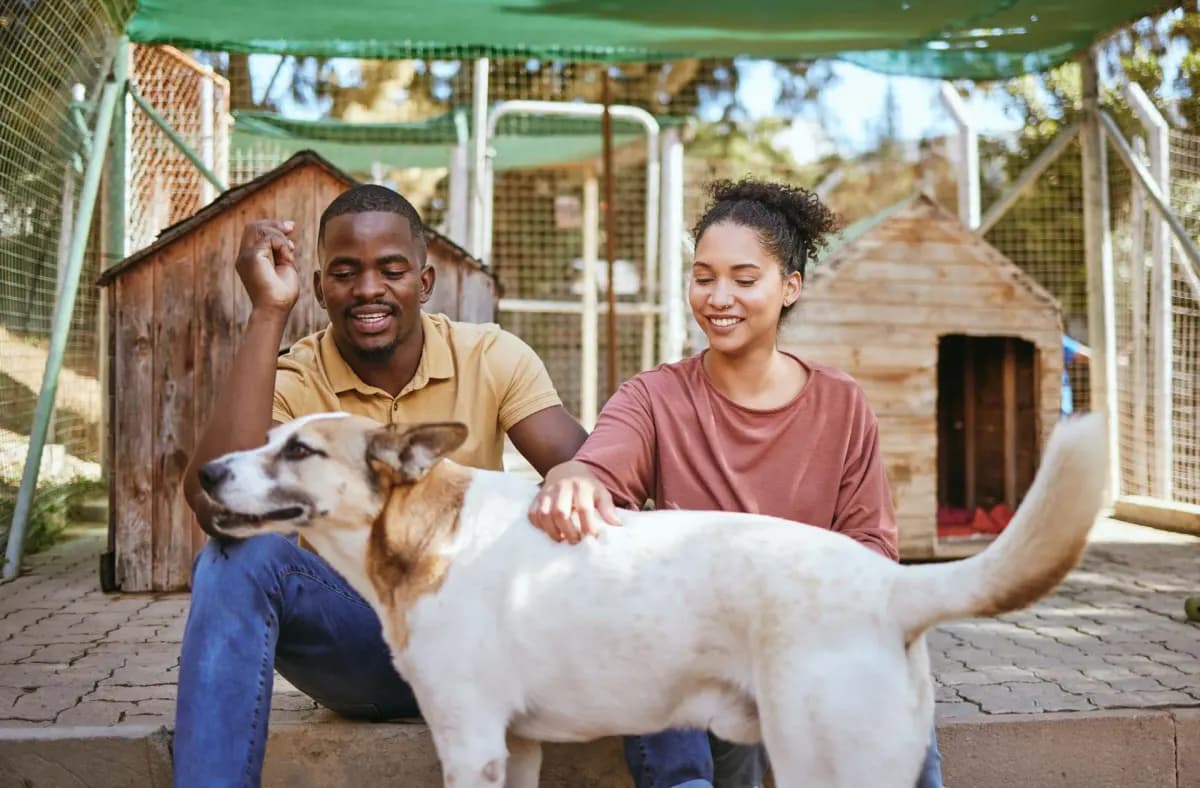 Couple avec son chien guéri