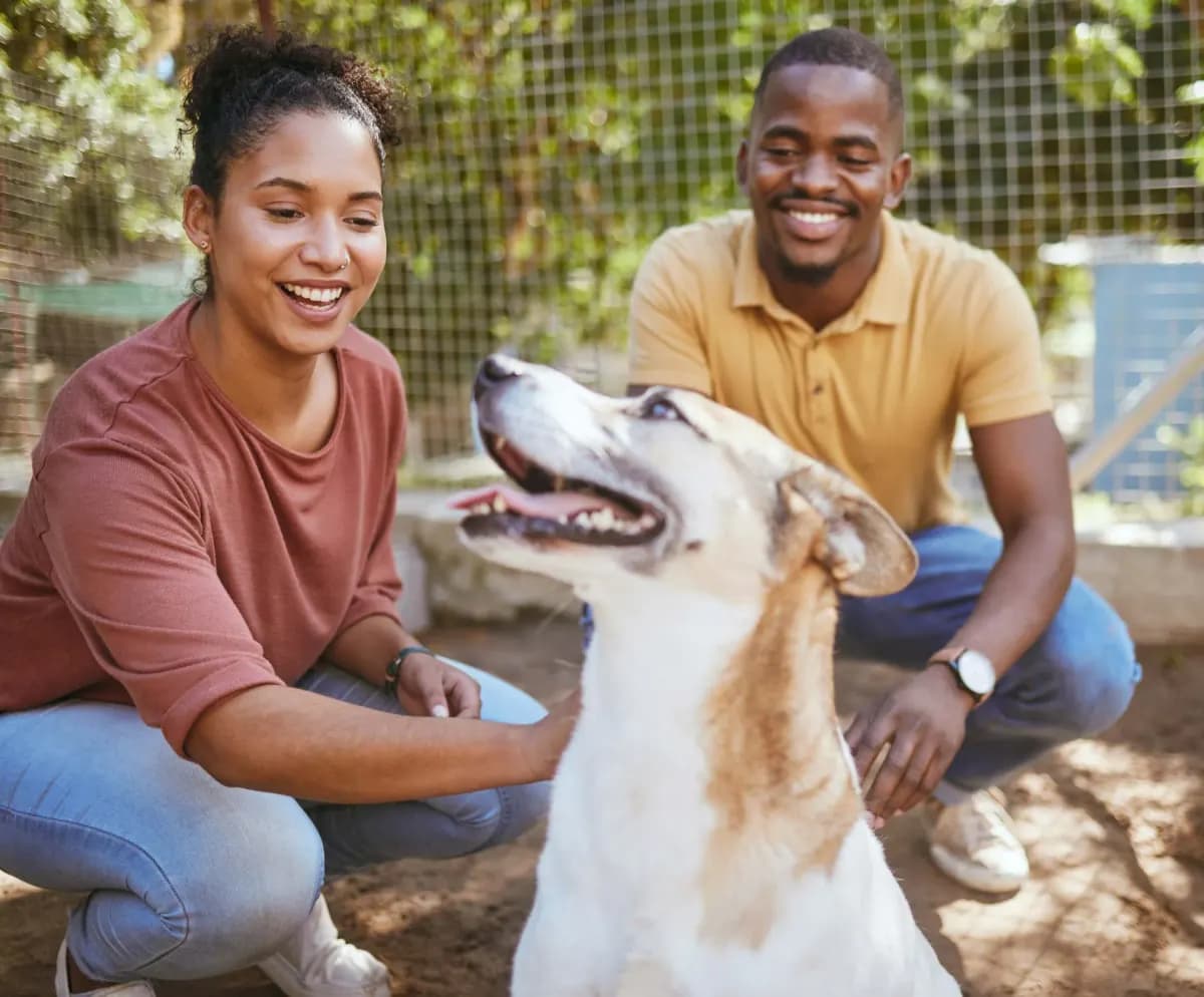 Photo de deux personnes avec leur chien soigné